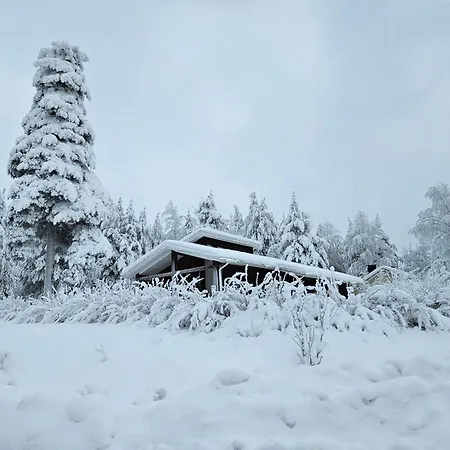 House Full Of Christmas Spirit * Rovaniemi