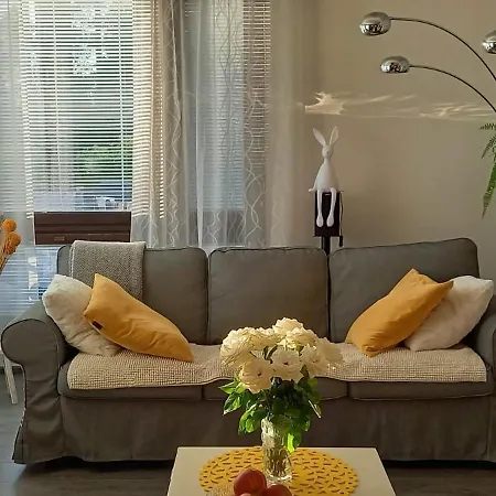 Appartement House Full Of Christmas Spirit