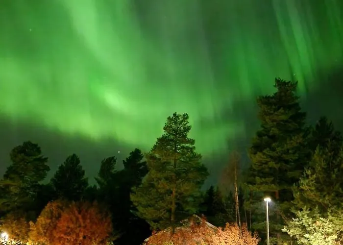 House Full Of Christmas Spirit Appartement *