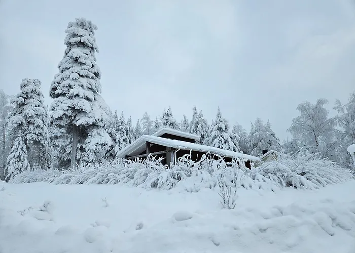 House Full Of Christmas Spirit * Rovaniemi